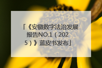 《安徽数字法治发展报告NO.1（2025）》蓝皮书发布