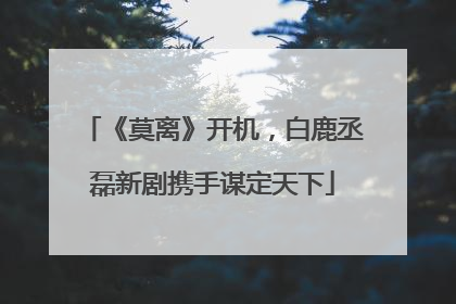 《莫离》开机，白鹿丞磊新剧携手谋定天下