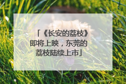 《长安的荔枝》即将上映，东莞的荔枝陆续上市