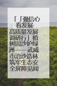 「强信心 看发展·高质量发展调研行」植树固沙护绿洲——武威市治沙造林筑牢生态安全屏障见闻