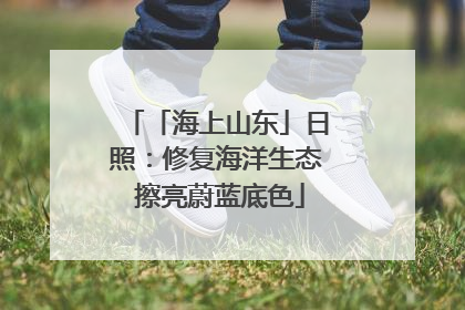 「海上山东」日照：修复海洋生态 擦亮蔚蓝底色
