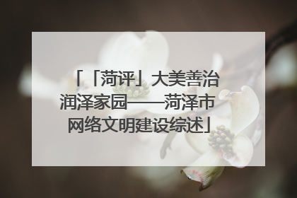 「菏评」大美善治润泽家园——菏泽市网络文明建设综述