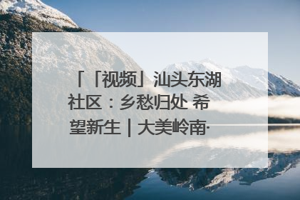 「视频」汕头东湖社区：乡愁归处 希望新生｜大美岭南·百村焕新记