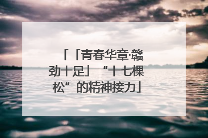 「青春华章·赣劲十足」“十七棵松”的精神接力