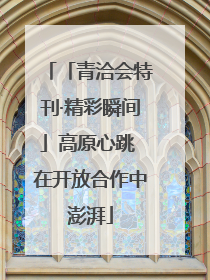 「青洽会特刊·精彩瞬间」高原心跳 在开放合作中澎湃