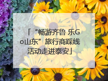 “畅游齐鲁 乐Go山东”旅行商踩线活动走进泰安
