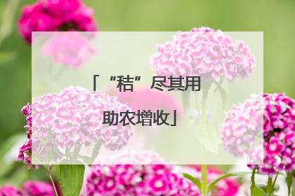 “秸”尽其用 助农增收