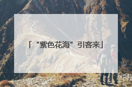 “紫色花海”引客来