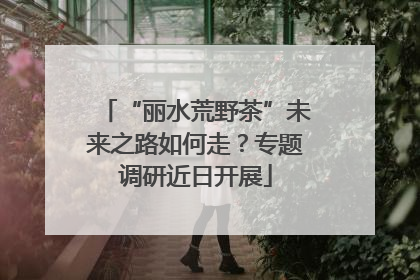 “丽水荒野茶”未来之路如何走？专题调研近日开展