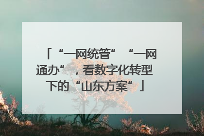 “一网统管”“一网通办”，看数字化转型下的“山东方案”