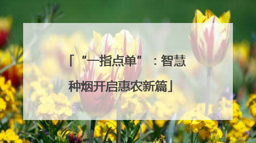 “一指点单”：智慧种烟开启惠农新篇