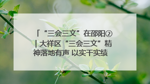 “三会三文”在邵阳②｜大祥区“三会三文”精神落地有声 以实干实绩助力区域高质量发展