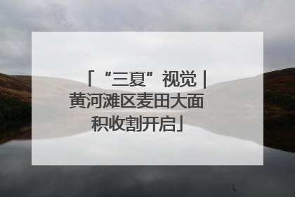 “三夏”视觉｜黄河滩区麦田大面积收割开启