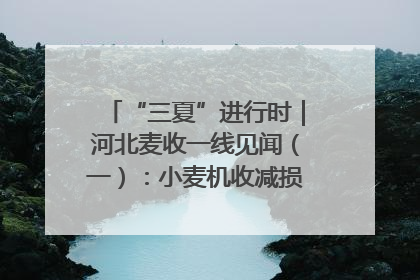 “三夏”进行时｜河北麦收一线见闻（一）：小麦机收减损“竞技” 农机高手麦田“过招”