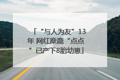 “与人为友”13年 网红麋鹿“点点”已产下8胎幼崽