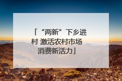 “两新”下乡进村 激活农村市场消费新活力