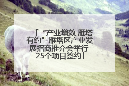 “产业增效 雁塔有约”雁塔区产业发展招商推介会举行 25个项目签约