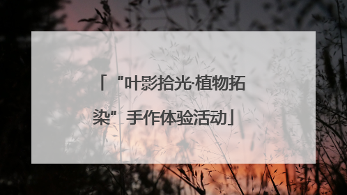 “叶影拾光·植物拓染”手作体验活动