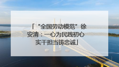 “全国劳动模范”徐安清：一心为民践初心 实干担当铸忠诚