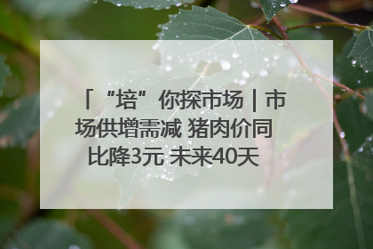 “培”你探市场｜市场供增需减 猪肉价同比降3元 未来40天便宜猪肉敞开吃