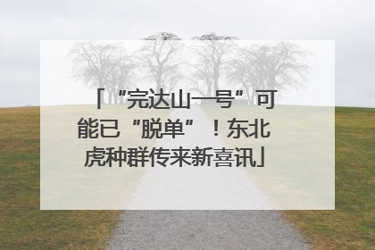 “完达山一号”可能已“脱单”！东北虎种群传来新喜讯