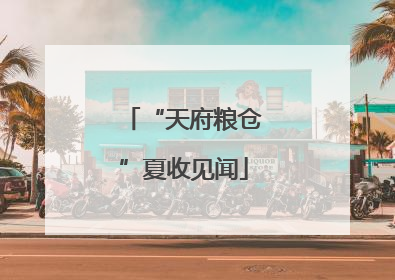 “天府粮仓”夏收见闻