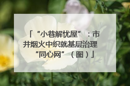 “小巷解忧屋”：市井烟火中织就基层治理“同心网”（图）