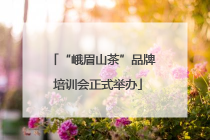 “峨眉山茶”品牌培训会正式举办