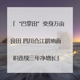 “巴掌田”变身万亩良田 四川合江耕地面积连续三年净增长