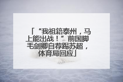“我祖籍泰州，马上能出战！”前国脚毛剑卿自荐踢苏超，体育局回应