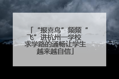 “报喜鸟”频频“飞”进杭州一学校 求学路的通畅让学生越来越自信
