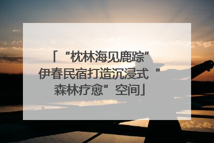 “枕林海见鹿踪” 伊春民宿打造沉浸式“森林疗愈”空间