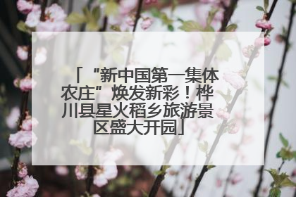 “新中国第一集体农庄”焕发新彩！桦川县星火稻乡旅游景区盛大开园