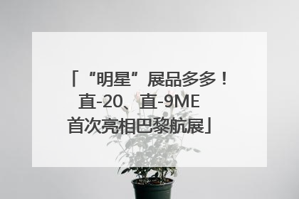 “明星”展品多多！直-20、直-9ME首次亮相巴黎航展