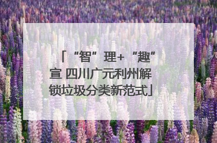 “智”理+“趣”宣 四川广元利州解锁垃圾分类新范式