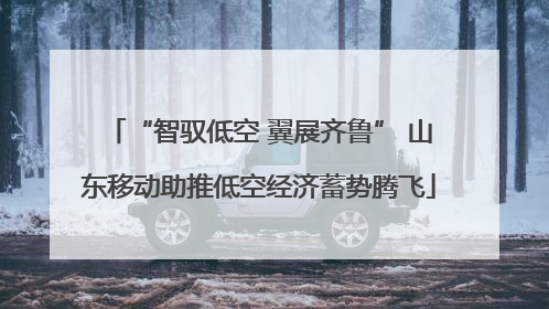 “智驭低空 翼展齐鲁” 山东移动助推低空经济蓄势腾飞