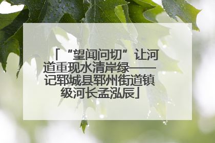 “望闻问切”让河道重现水清岸绿——记郓城县郓州街道镇级河长孟泓辰