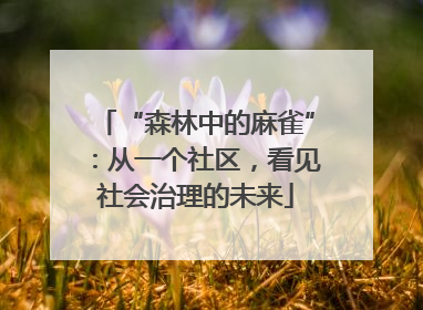 “森林中的麻雀”：从一个社区，看见社会治理的未来