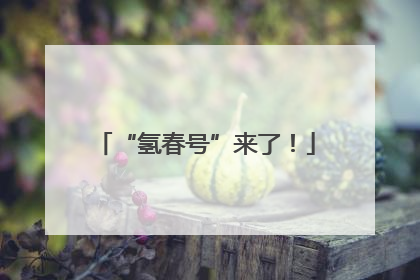 “氢春号”来了！