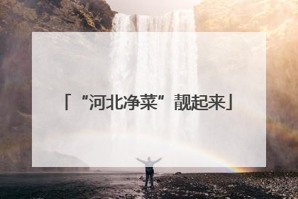 “河北净菜”靓起来