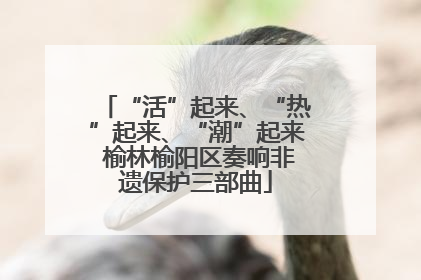 “活”起来、“热”起来、“潮”起来 榆林榆阳区奏响非遗保护三部曲