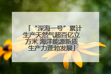 “深海一号”累计生产天然气超百亿立方米 海洋能源新质生产力蓬勃发展
