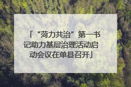 “菏力共治”第一书记助力基层治理活动启动会议在单县召开