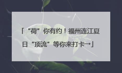 “荷”你有约！福州连江夏日“顶流”等你来打卡→
