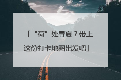 “荷”处寻夏？带上这份打卡地图出发吧