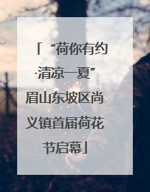 “荷你有约·清凉一夏”眉山东坡区尚义镇首届荷花节启幕