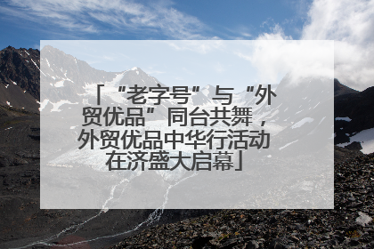 “老字号”与“外贸优品”同台共舞，外贸优品中华行活动在济盛大启幕