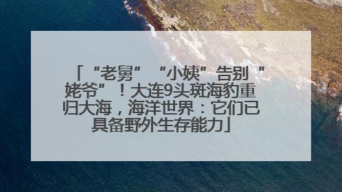 “老舅”“小姨”告别“姥爷”！大连9头斑海豹重归大海，海洋世界：它们已具备野外生存能力
