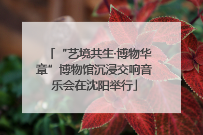 “艺境共生·博物华章”博物馆沉浸交响音乐会在沈阳举行