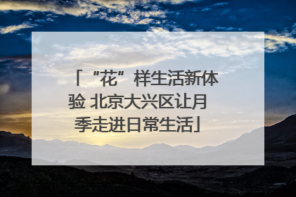 “花”样生活新体验 北京大兴区让月季走进日常生活